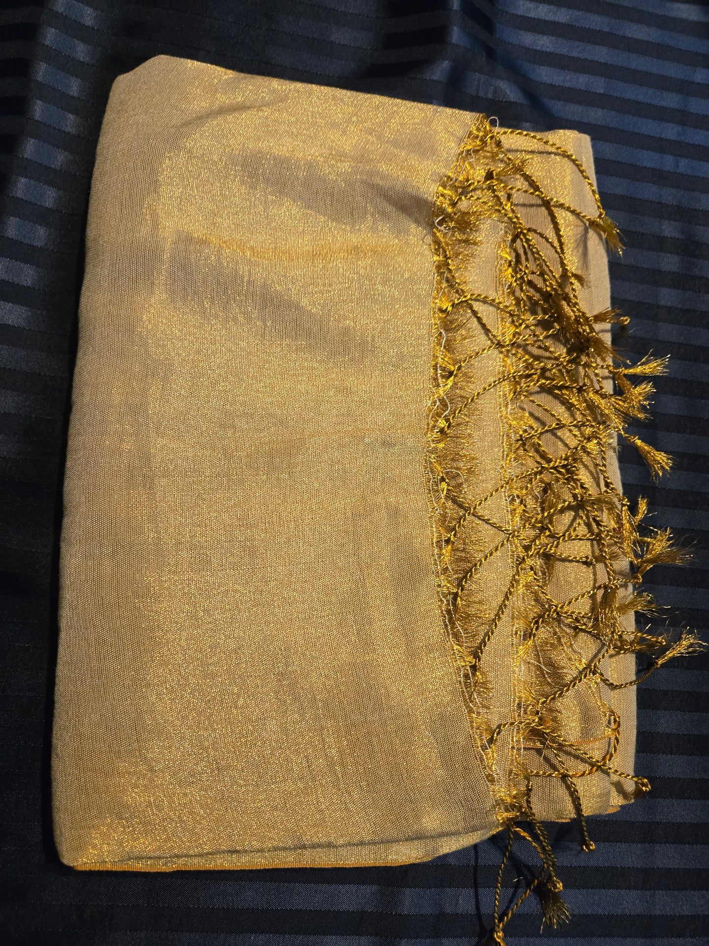 Raga Tissue Linen saree