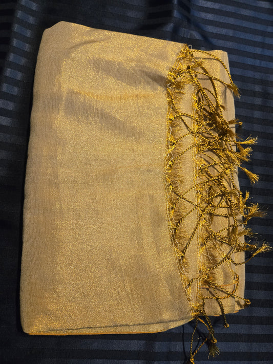 Raga Tissue Linen saree